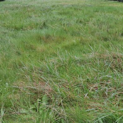 Maison 7 pièces 151500 €