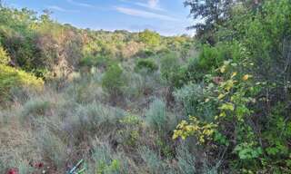 Terrain  4983 m² à vendre à Gabian (34320)