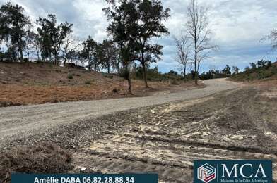 Terrain  290000 €