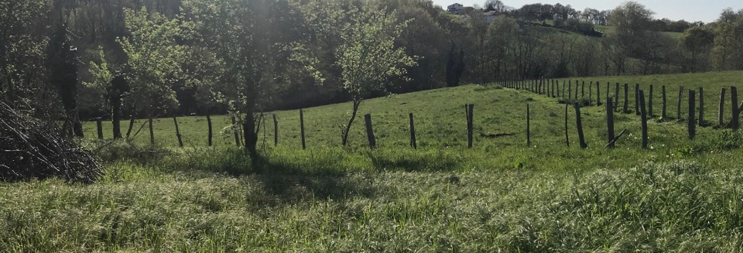 Terrain  800 m² à vendre à Guiche (64520)