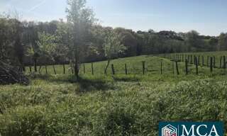 Terrain  800 m² à vendre à Guiche (64520)