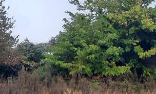 Terrain  360 m² à vendre à Bordeaux (33000)