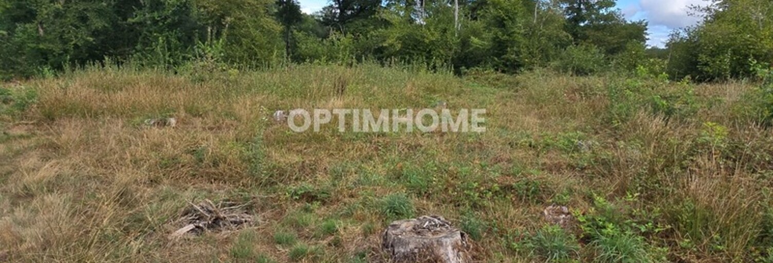 Terrain  1491 m² à vendre à Boisseuil (87220)