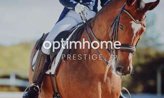 Maison 200 m² en viager Bellême (61130)