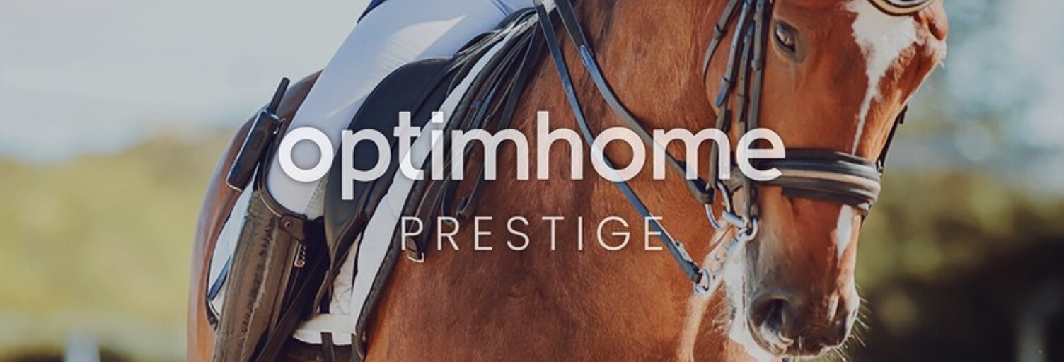 Maison 200 m² en viager Bellême (61130)