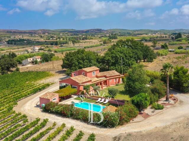 Vente - Propriété dans les vignes — photo du bien