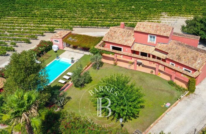 Vente - Propriété dans les vignes — photo 4