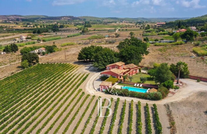 Vente - Propriété dans les vignes — photo 5