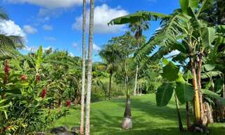 Maison 8 Pièces 340 m² à vendre à Petit-Bourg (97170)