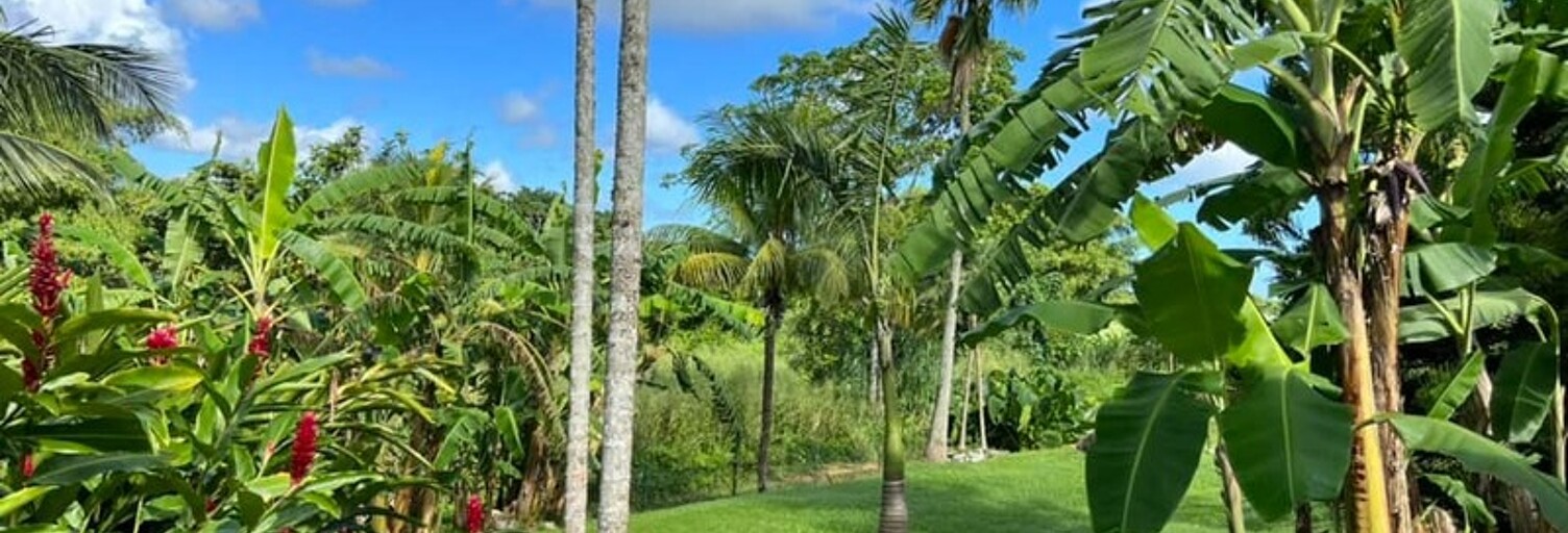 Maison 8 Pièces 340 m² à vendre à Petit-Bourg (97170)