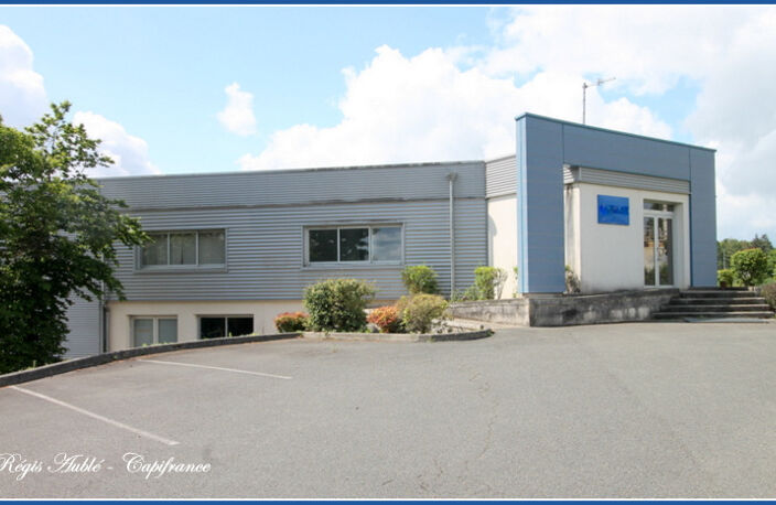 Dpt Sarthe (72), à vendre Local industriel avec bureaux  proche du MANS-CHANGE — photo 3