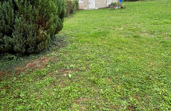 🏡 Rare à Bléneau (89220) : Magnifique terrain à bâtir de 2400 m² avec dépendance de charme — photo 2