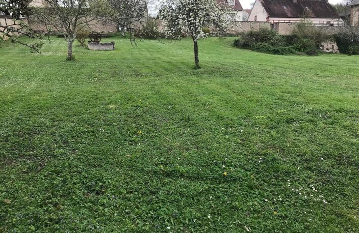 🏡 Rare à Bléneau (89220) : Magnifique terrain à bâtir de 2400 m² avec dépendance de charme — photo 3
