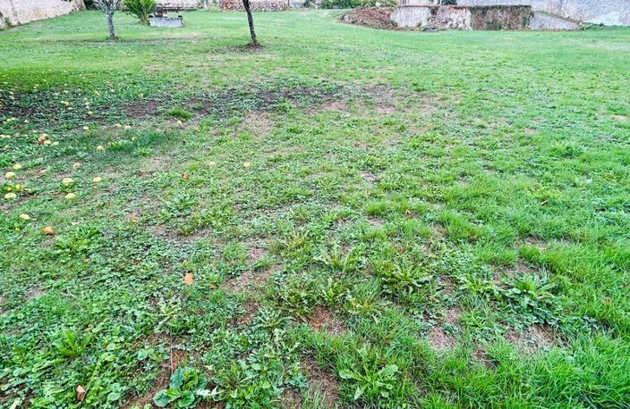🏡 Rare à Bléneau (89220) : Magnifique terrain à bâtir de 2400 m² avec dépendance de charme — photo 4