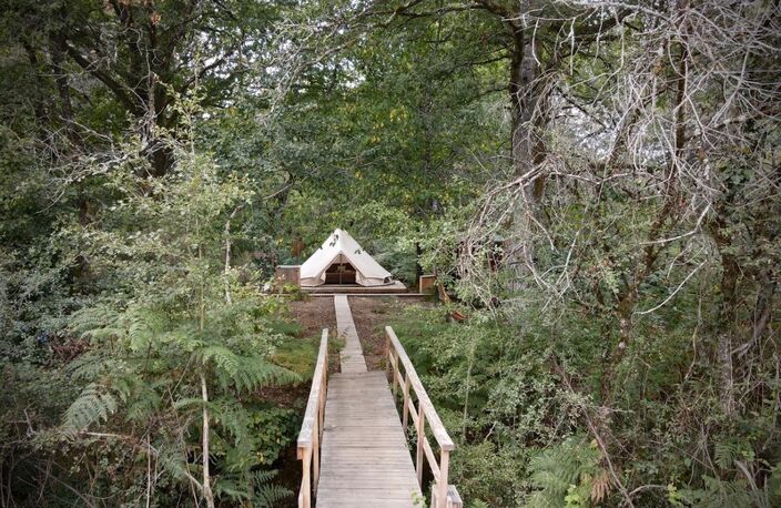 Opportunité d'affaires exceptionnelle : domaine de 24 hectares comprenant 15 hectares d'étangs, parfait pour divers projets touristiques et commerciaux. Avec une activité de location de tentes glampin — photo 3