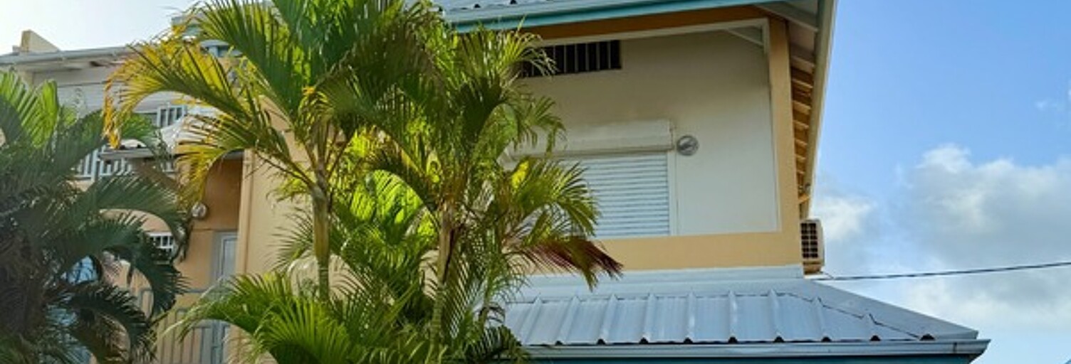 Appartement 3 Pièces 96 m² à vendre à Saint-François (97118)