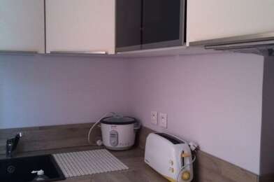 Appartement 1 pièces 1300 €