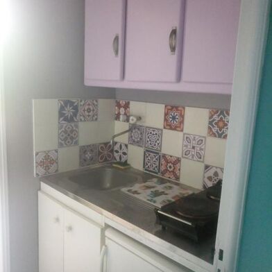 Appartement 1 pièces 450 €