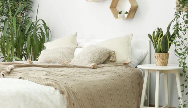 Appartement 2 pièces  à vendre Teste-de-Buch (La) 33260