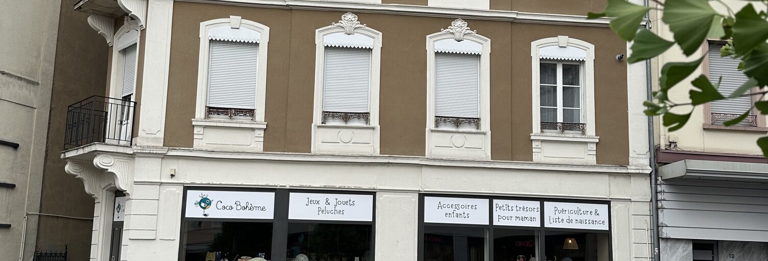 Immeuble  668 m² à vendre à Mulhouse (68100)