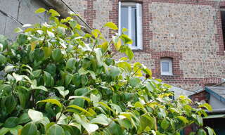 Maison 3 Pièces 52 m² à vendre à Fécamp (76400)