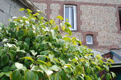 Maison 3 pièces 129000 €