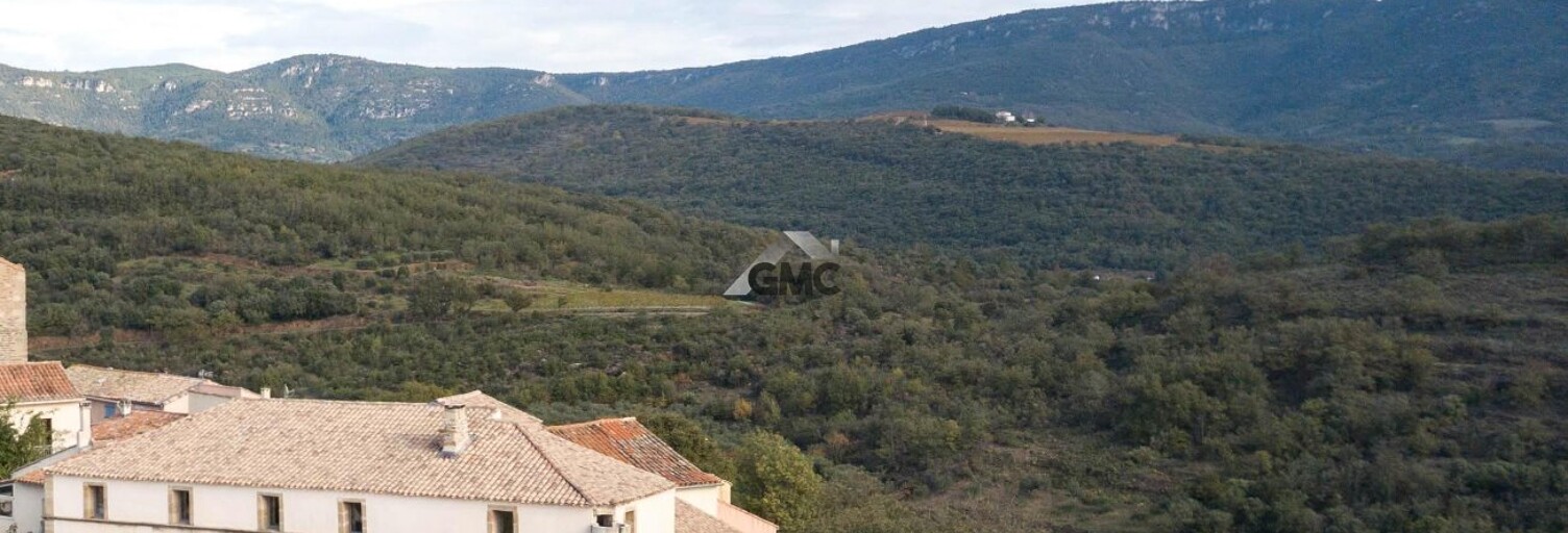 Maison 9 Pièces 476 m² à vendre à Clermont-l'Hérault (34800)