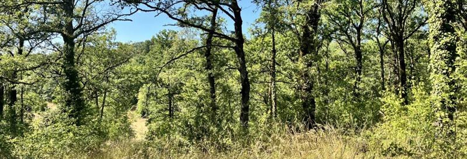 Terrain  2400 m² à vendre à Esclauzels (46090)