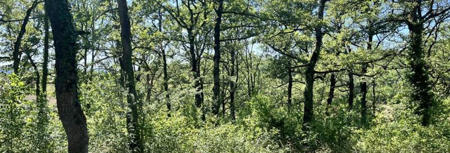 Terrain  2400 m² à vendre à Esclauzels (46090)