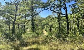 Terrain  2400 m² à vendre à Esclauzels (46090)