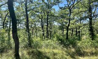 Terrain  2400 m² à vendre à Esclauzels (46090)