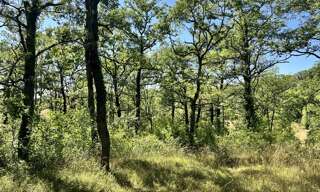 Terrain  2400 m² à vendre à Esclauzels (46090)