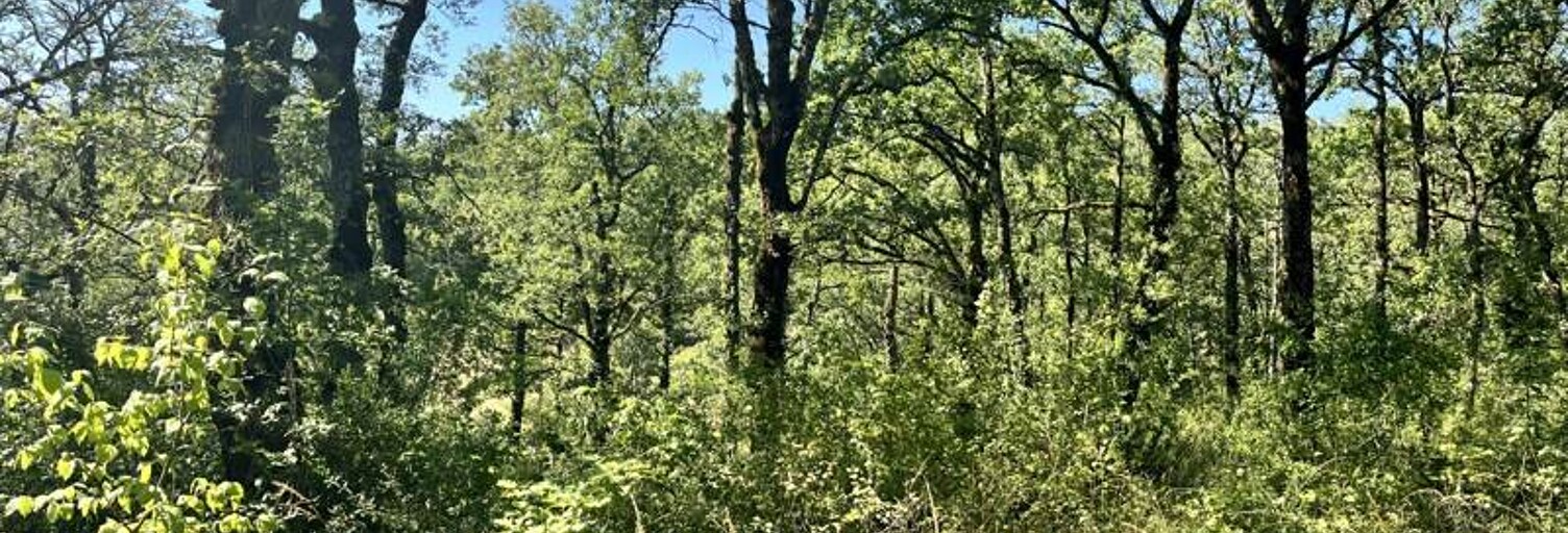 Terrain  2400 m² à vendre à Esclauzels (46090)