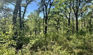 Terrain  2400 m² à vendre à Esclauzels (46090)