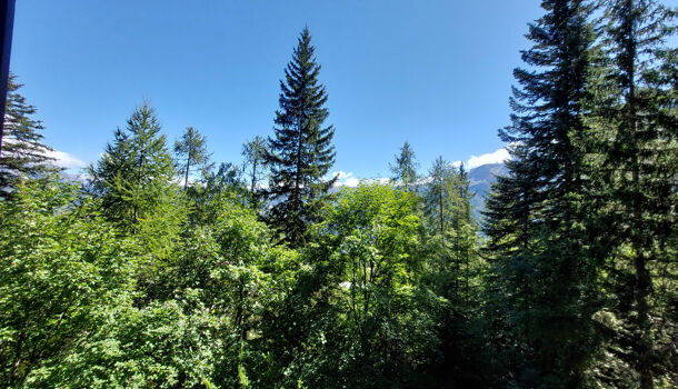 Appartement 1 pièces  à vendre Uvernet-Fours 04400