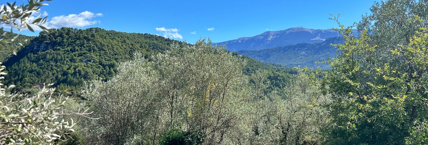 Terrain  3583 m² à vendre à Buis-les-Baronnies (26170)