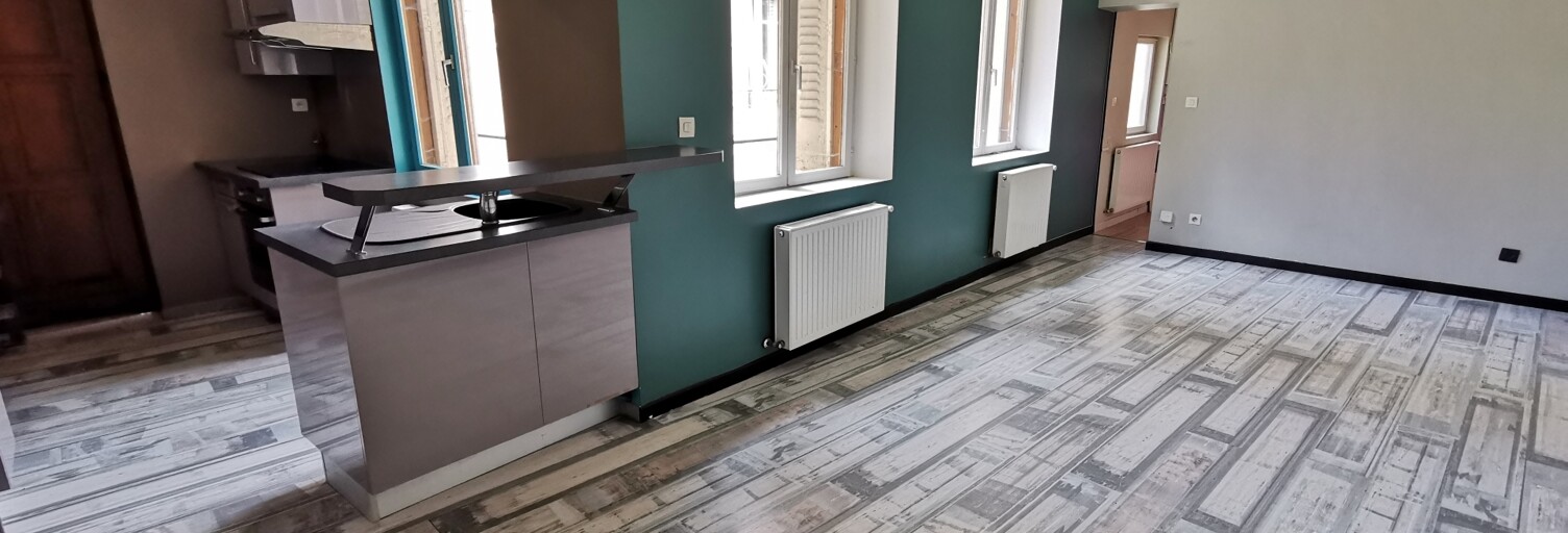 Appartement 1 Pièce 42 m² à vendre à Nancy (54000)