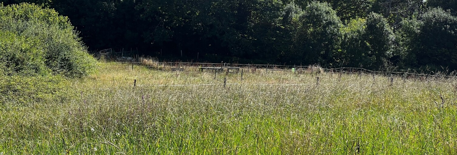 Terrain  600 m² à vendre à Anglet (64600)