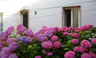 Appartement 1 Pièce 23 m² à louer à Clermont-Ferrand (63000)