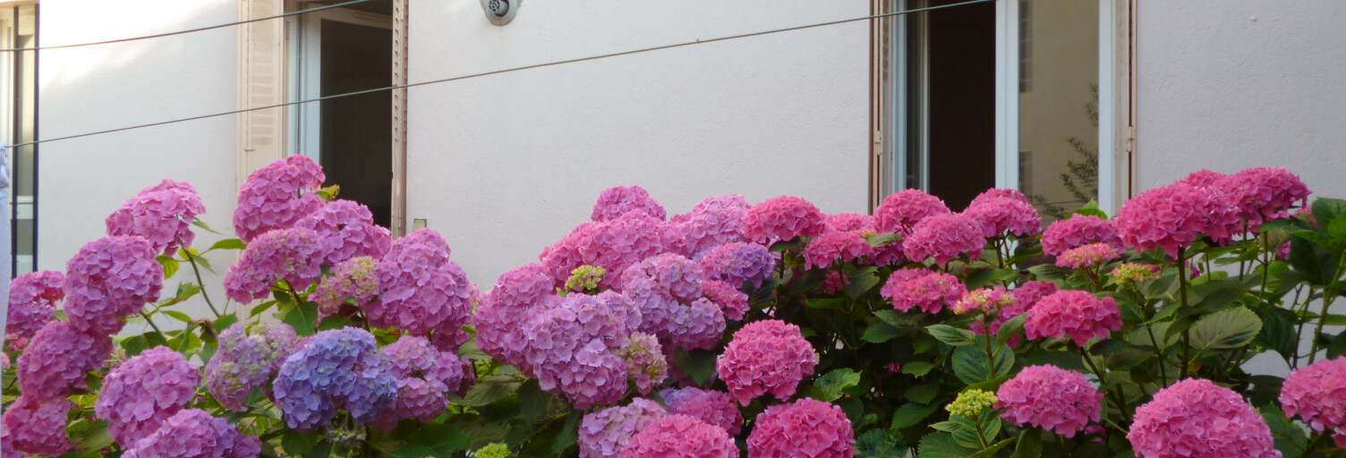 Appartement 1 Pièce 23 m² à louer à Clermont-Ferrand (63000)