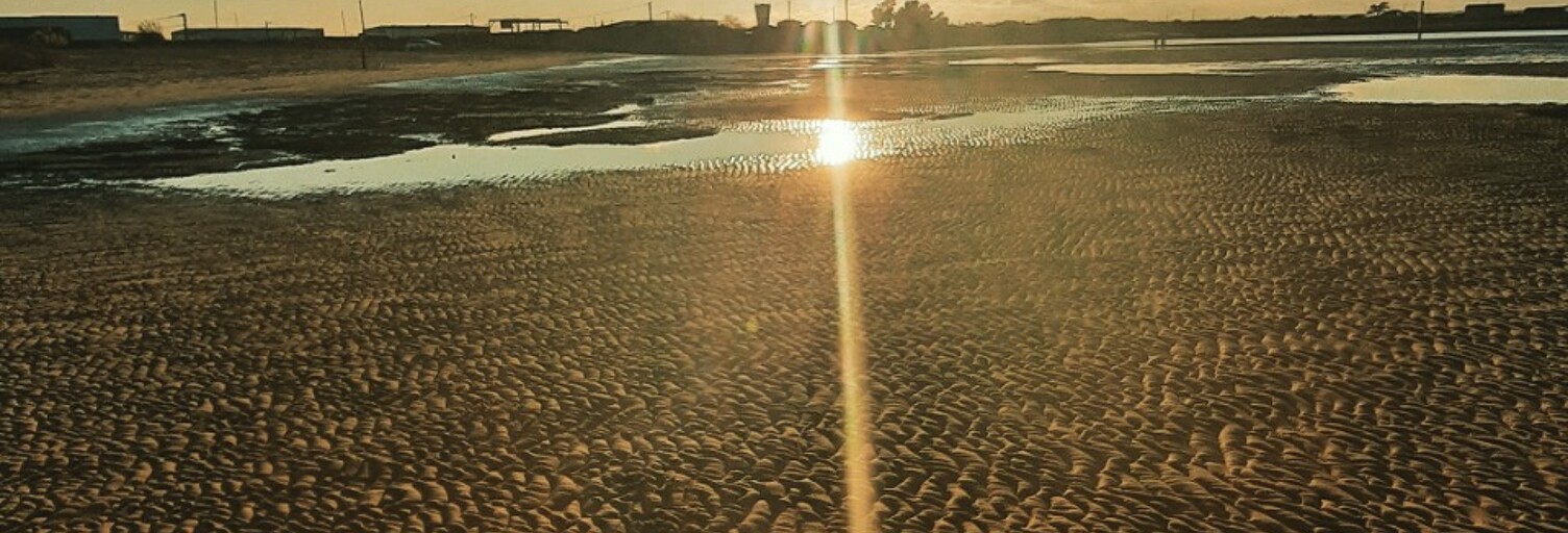 Terrain  450 m² à vendre à Andernos-les-Bains (33510)