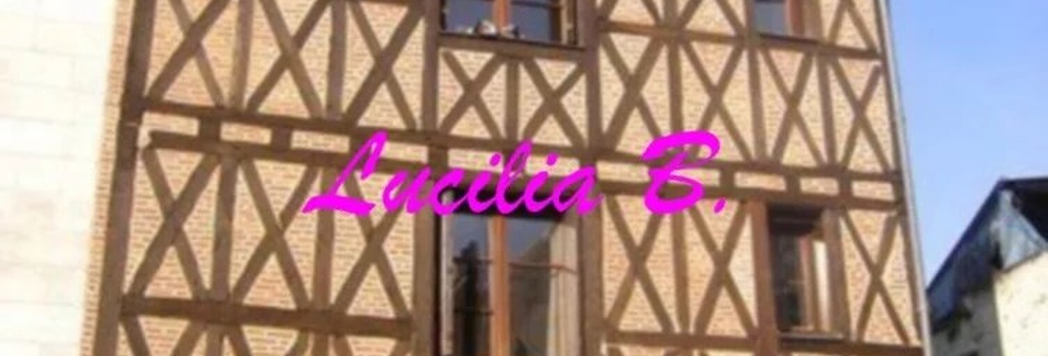 Garage   m² à louer à Tours (37000)