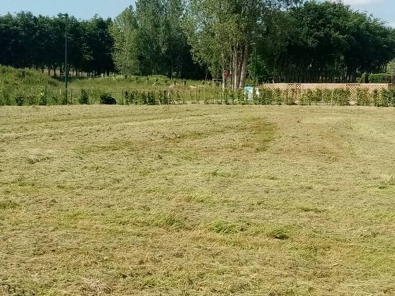 Terrain à vendre  proche de AMFREVILLE LES CHAMPS (76) — photo 1