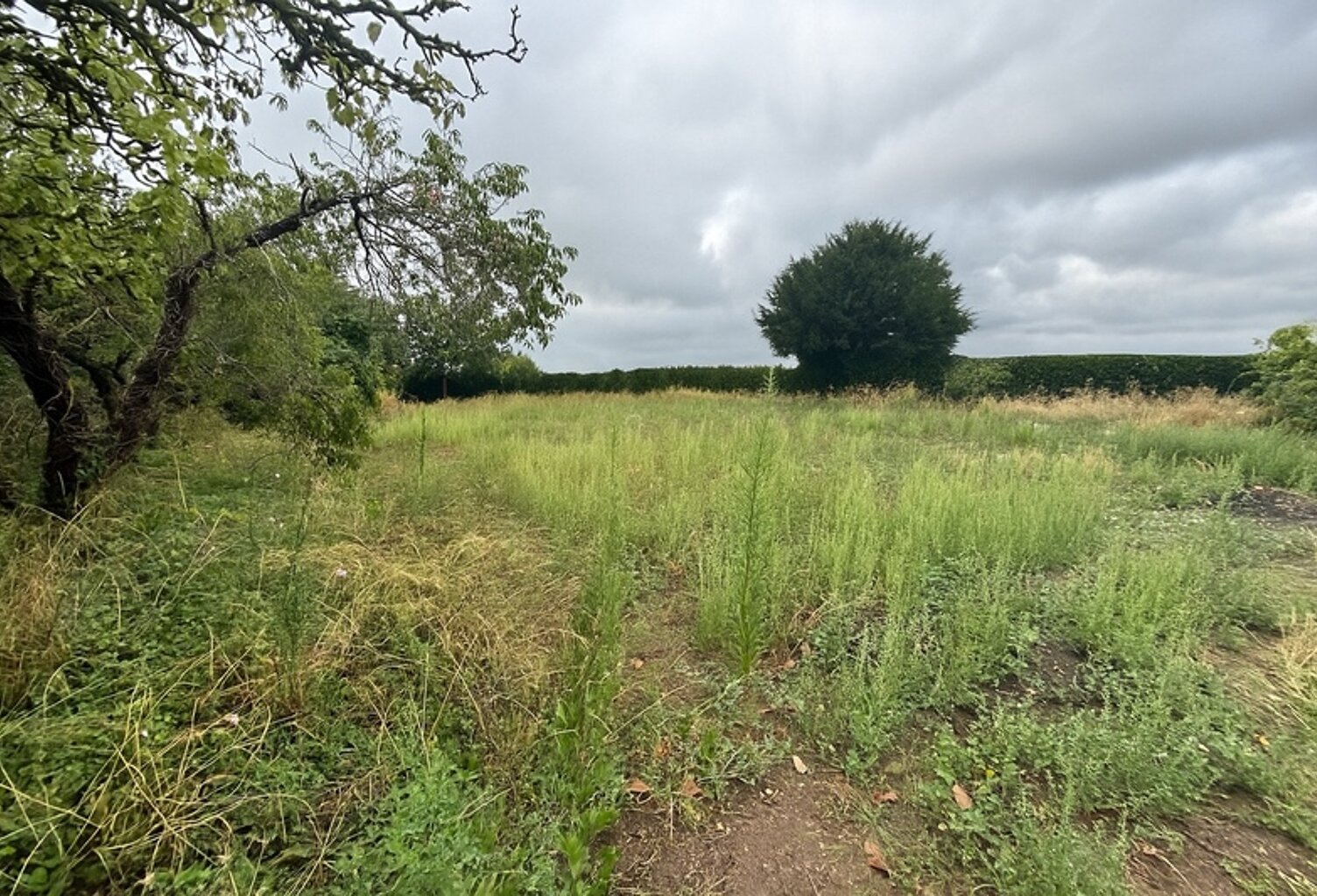 A VENDRE Terrain LES BOIS D'ANJOU 800m2 partiellement viabilisé — photo 1