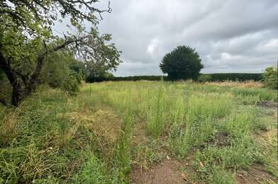 Terrain  64500 €