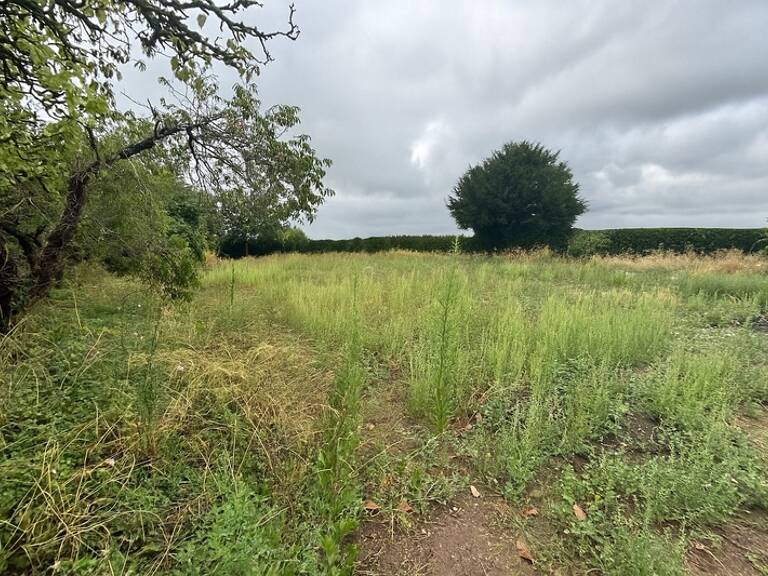 A VENDRE Terrain LES BOIS D'ANJOU 800m2 partiellement viabilisé — photo 1