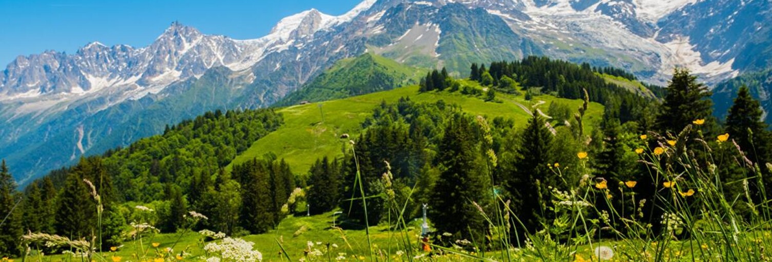 Maison neuf  670 m² à vendre à La Biolle (73410)