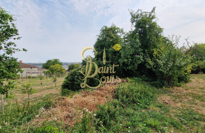 ANCIEN SECHOIR A TABAC AVEC JARDIN ET VUE — photo 3