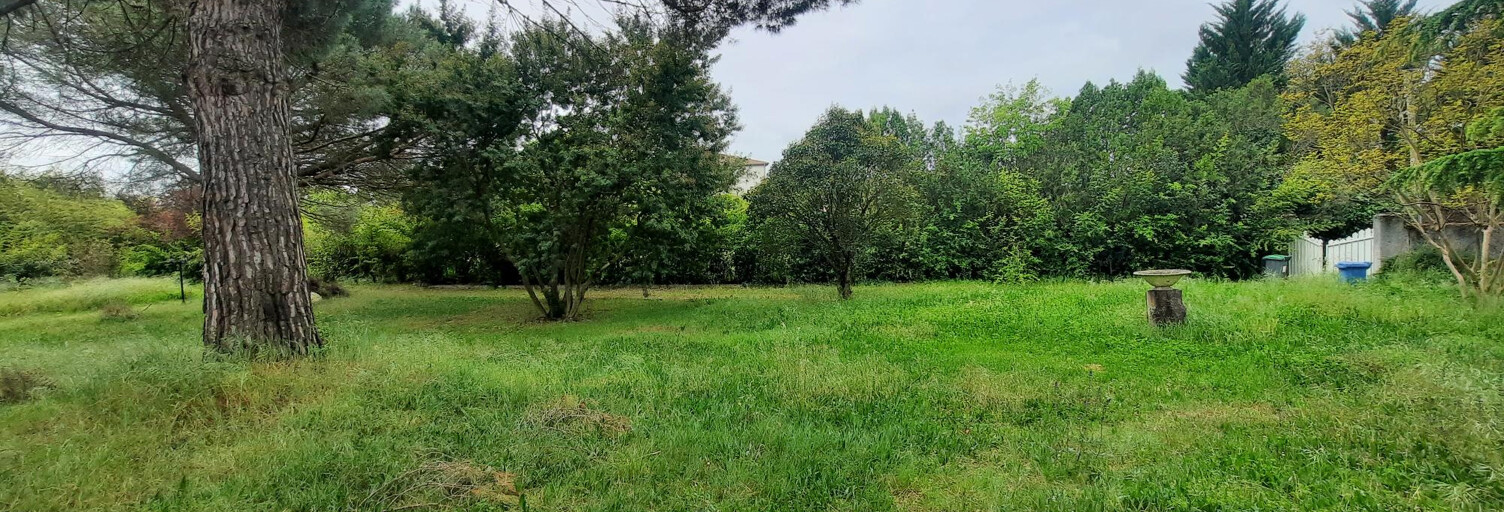 Maison 6 Pièces 202 m² à louer à Toulouse (31200)