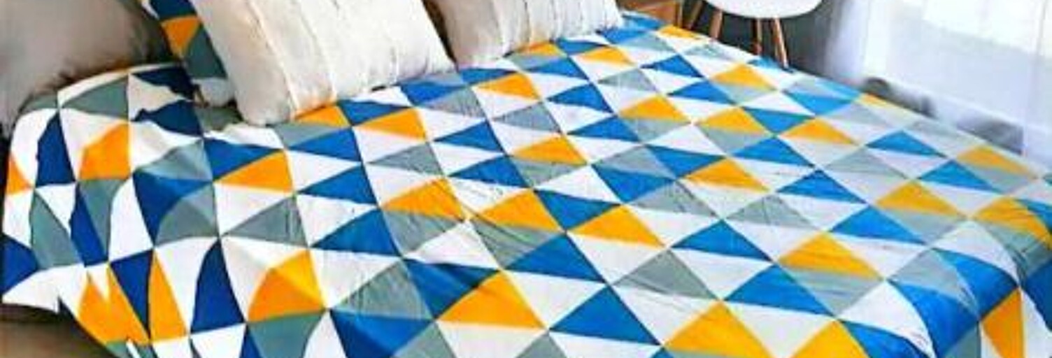 Appartement 1 Pièce 25 m² à louer à Labruguière (81290)